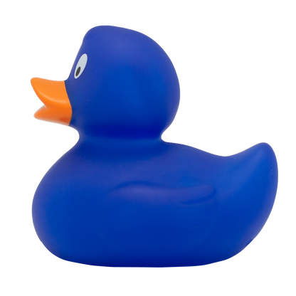 Canard Classique Bleu