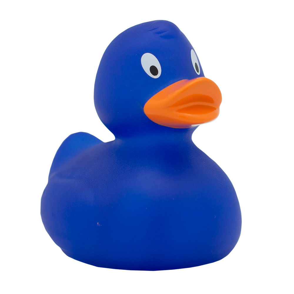 Anatra blu classica
