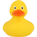 Pack de Eends Unis – 6 Couleurs