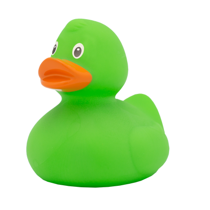 Classic green duck