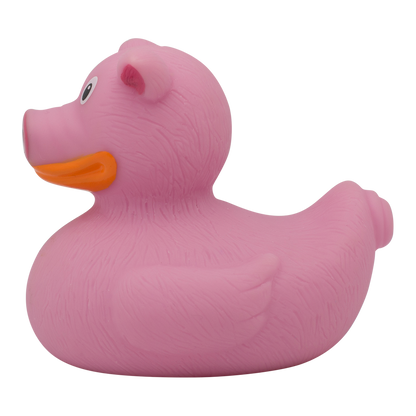 Canard Cochon