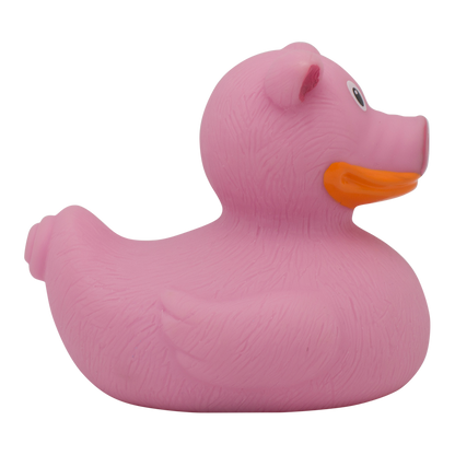 Canard Cochon