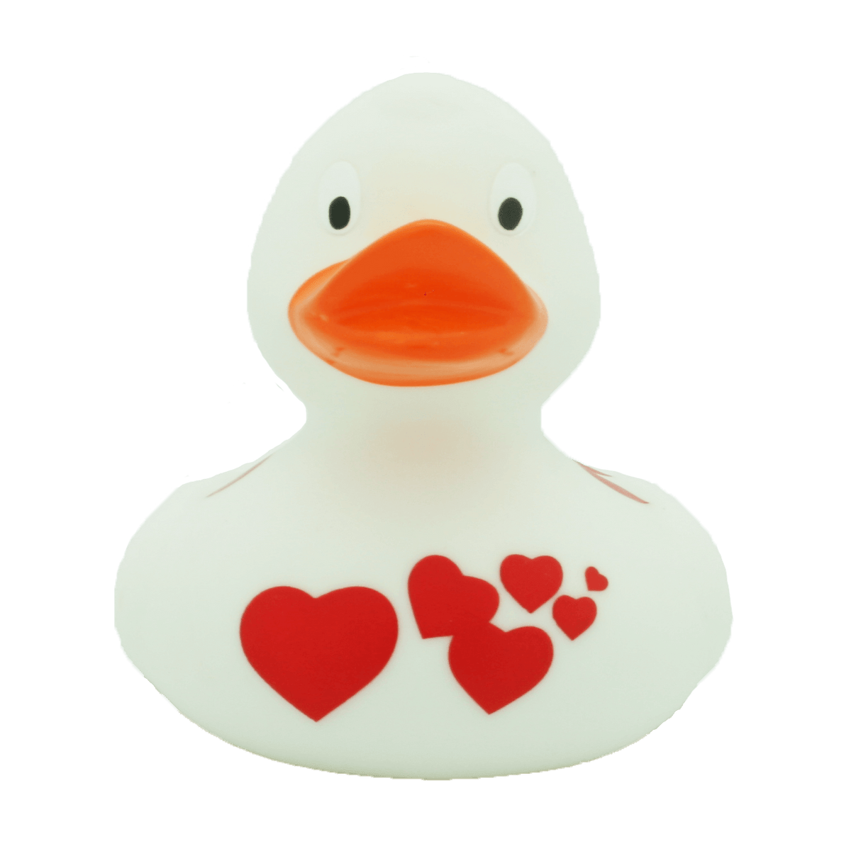 Pato branco