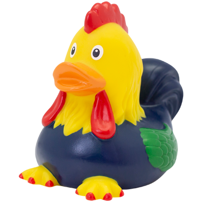 Canard Coq