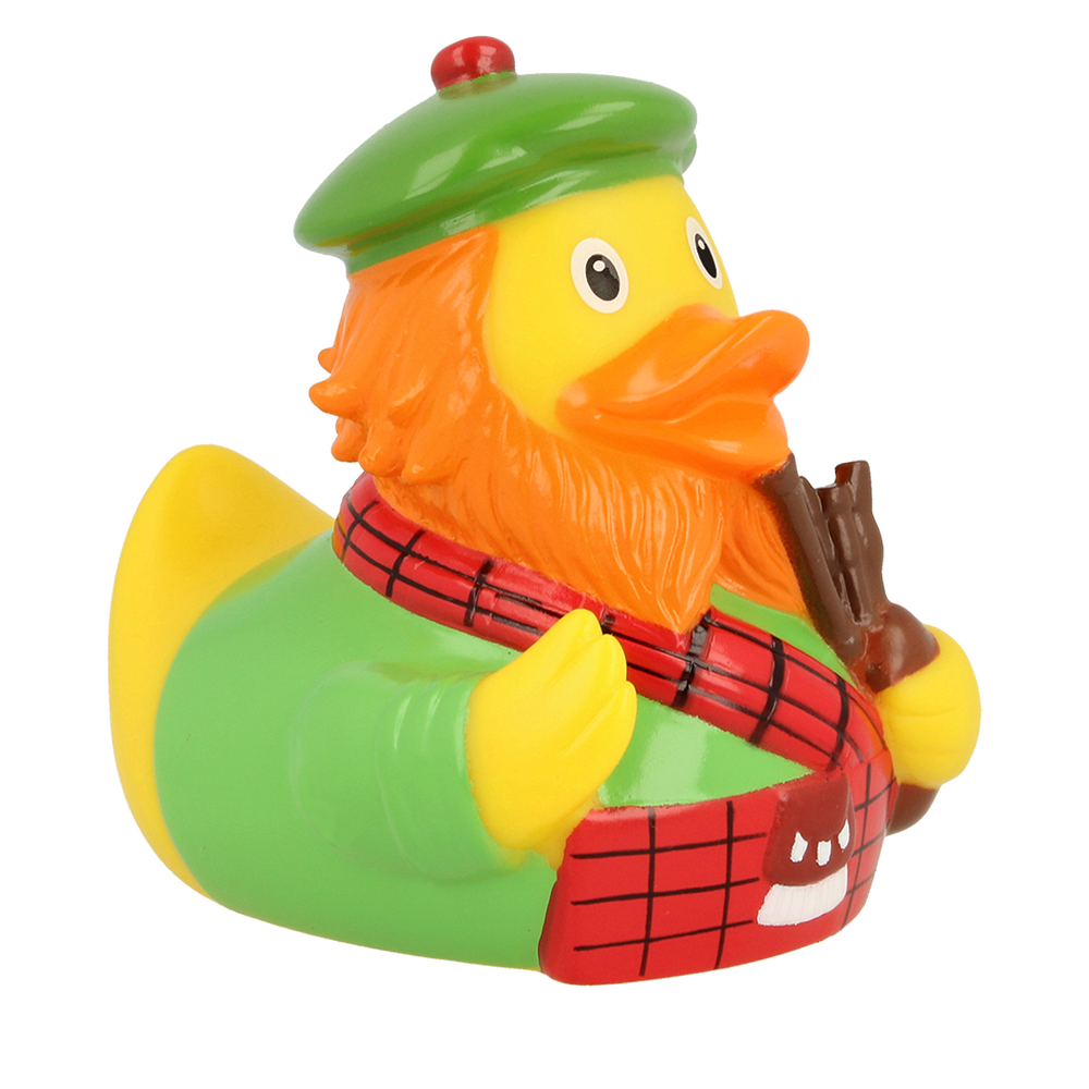 Canard Écossais