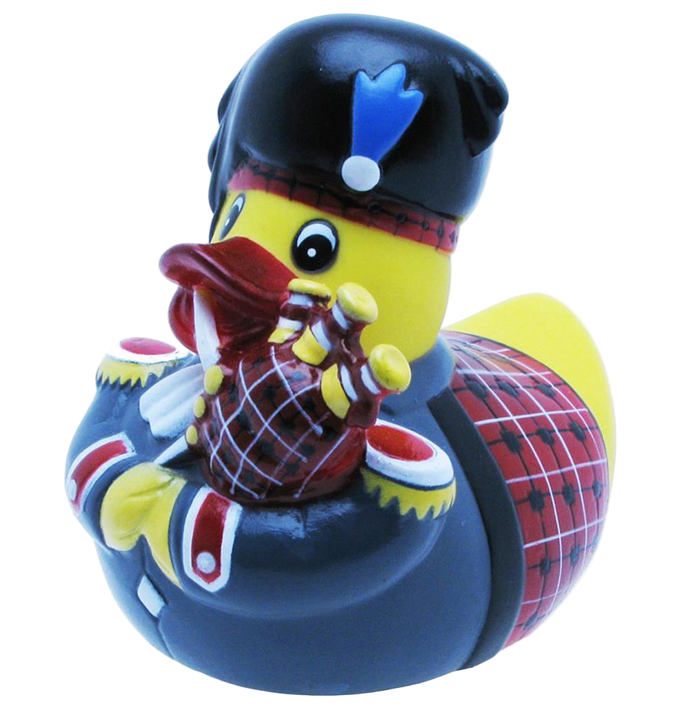 Scottish duck