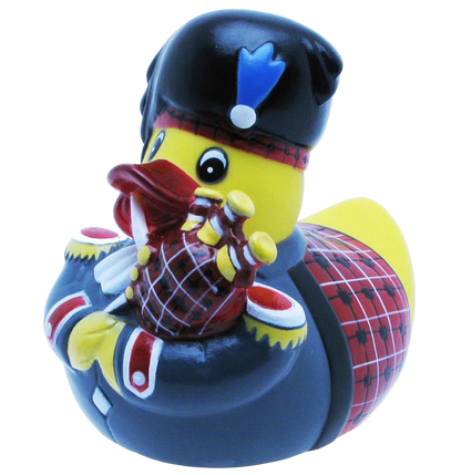 Scottish duck