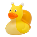 Ente Schnecke