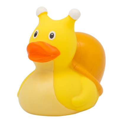 Snail duck