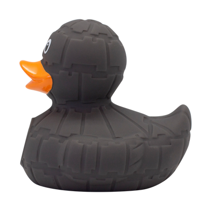 Canard Etoile Noire