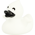 Ghost duck