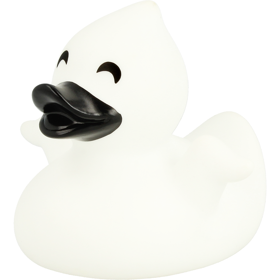 Ghost duck