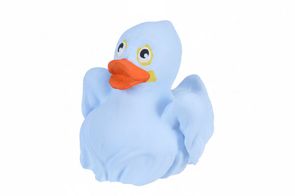 Canard Fantôme