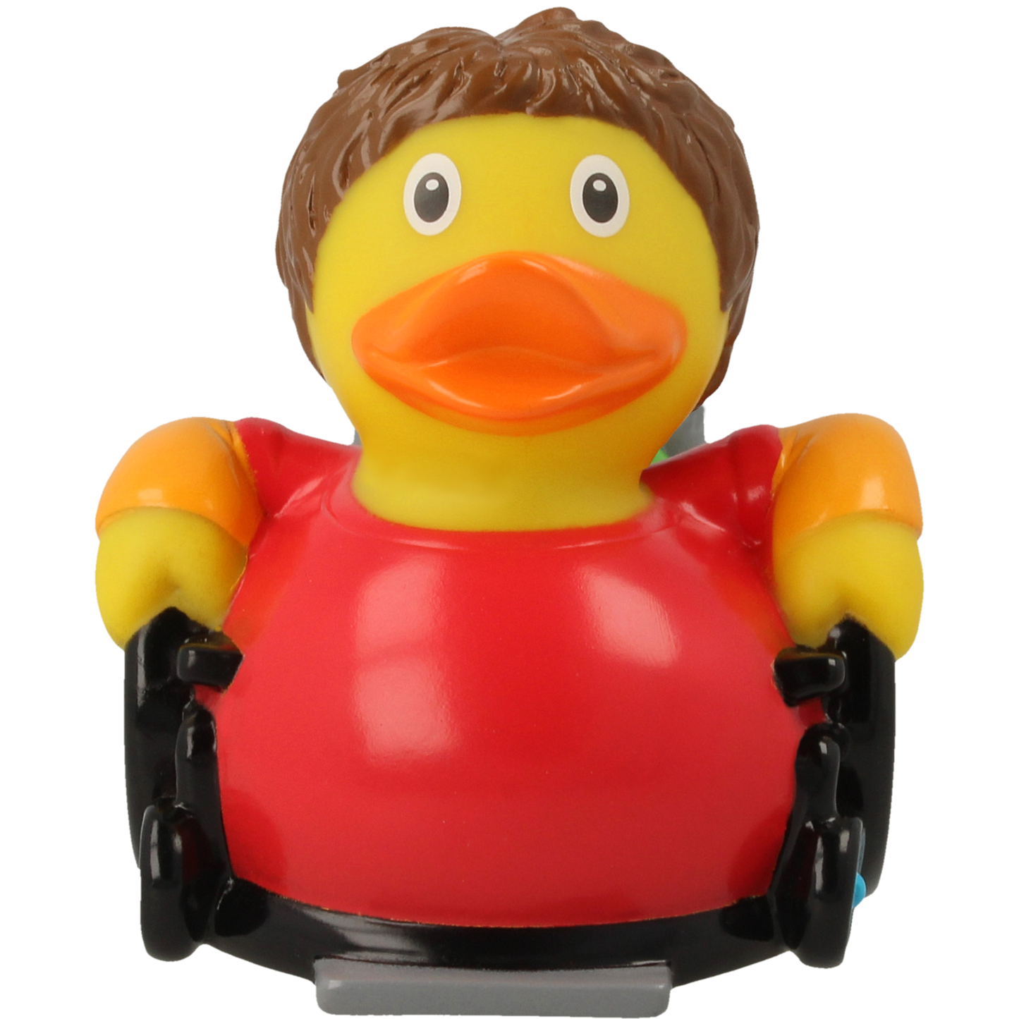 Canard Fauteuil Roulant