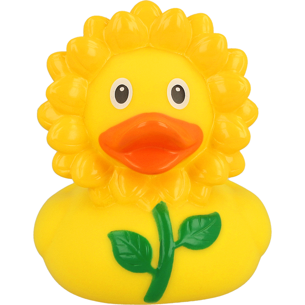 Canard Tournesol