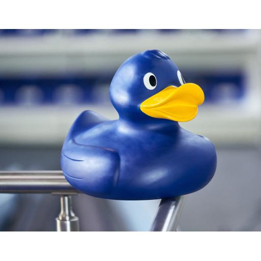 Canard Géant Bleu - 30 cm
