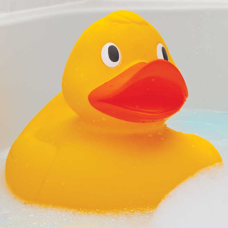 Piscina gigante pato amarillo