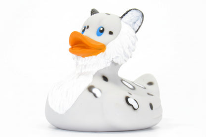 Canard Léopard des Neiges