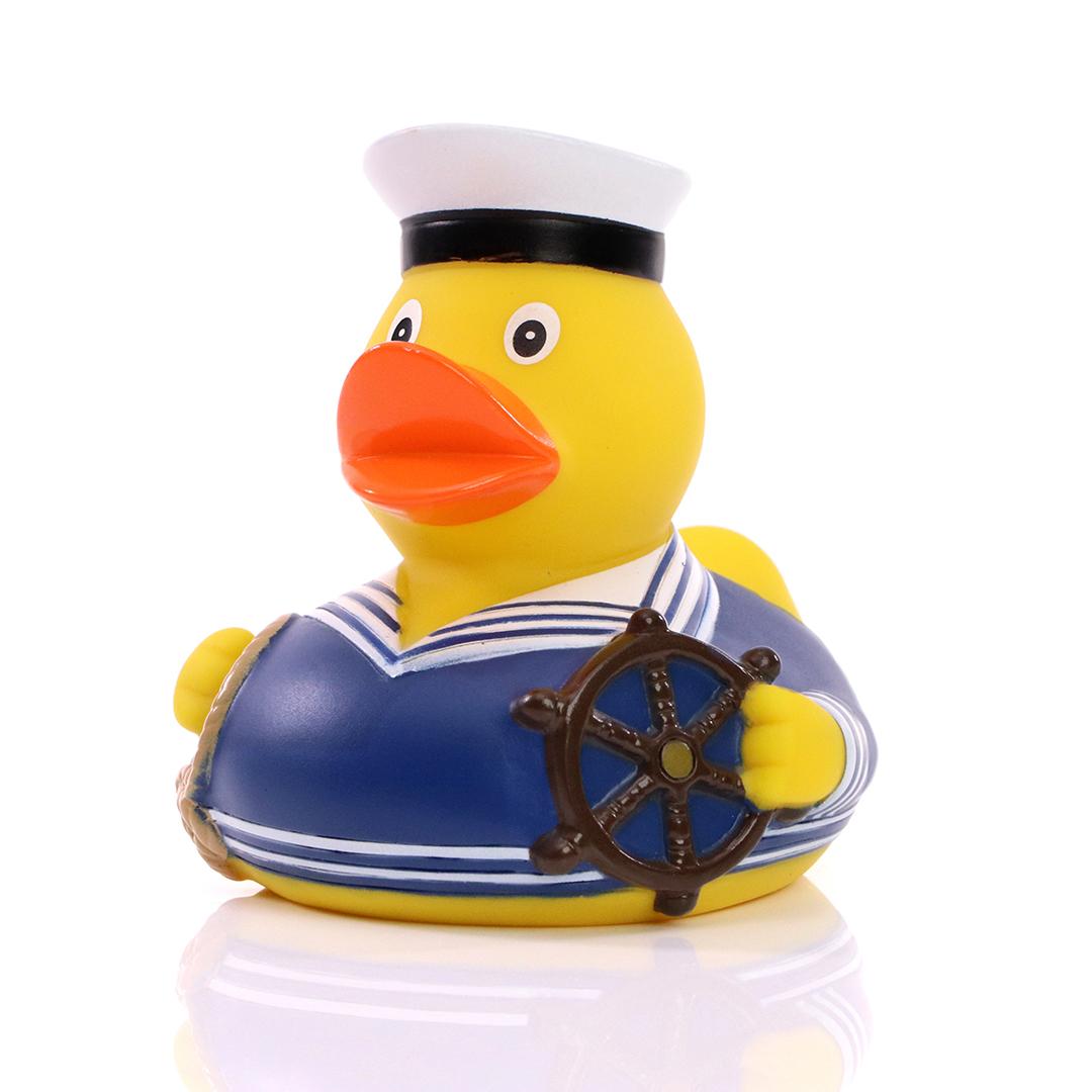 Blue sailor duck