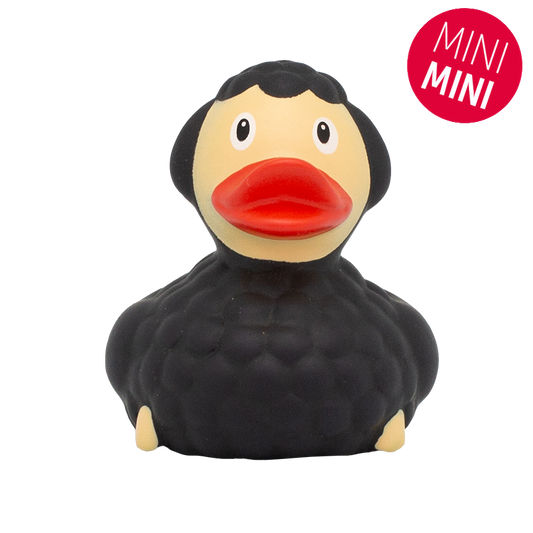 Mini Pato de Ovelha Negra