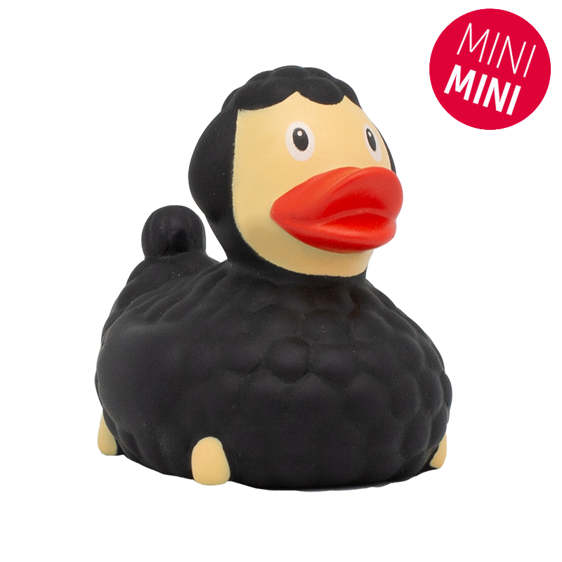 Mini Pato de Ovelha Negra