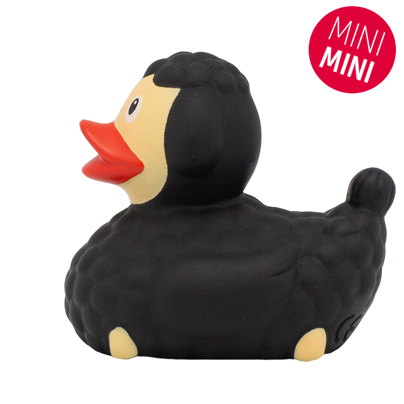 Mini black sheep duck