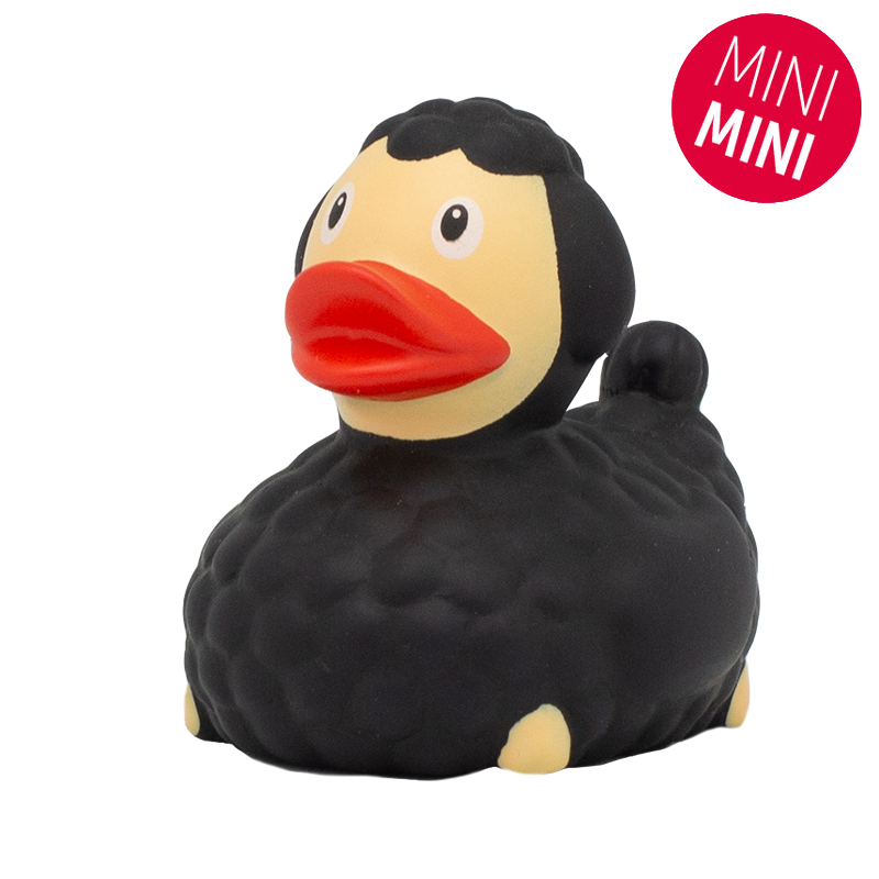 Mini Pato de Ovelha Negra