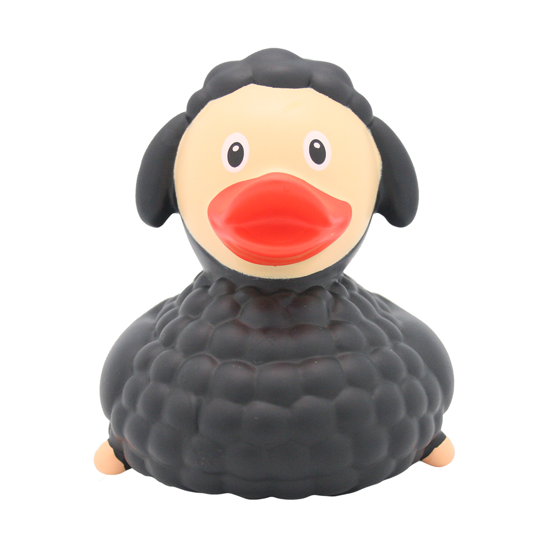 Black sheep duck