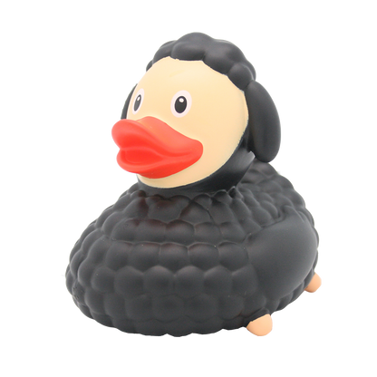 Black sheep duck