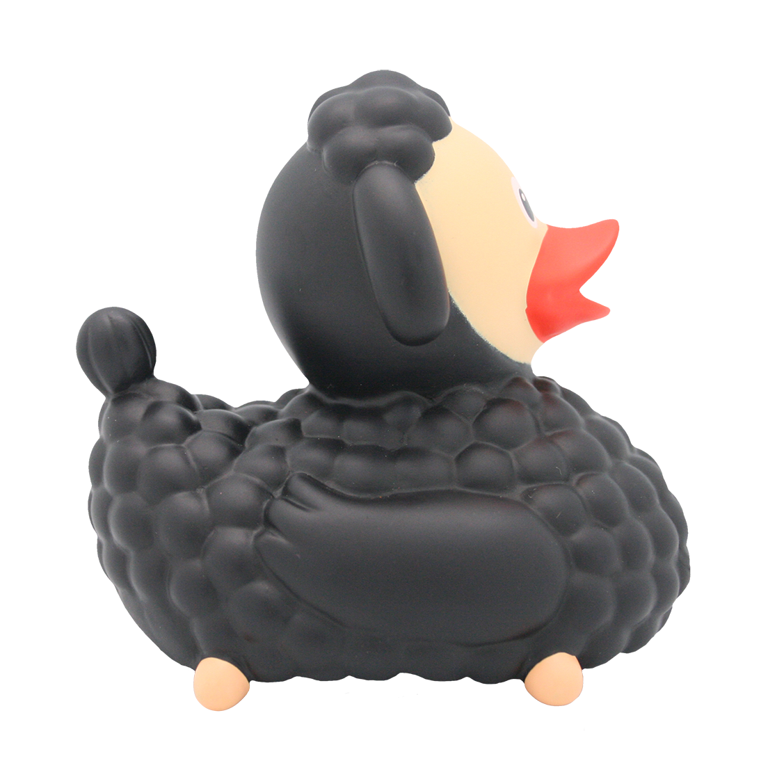 Black sheep duck