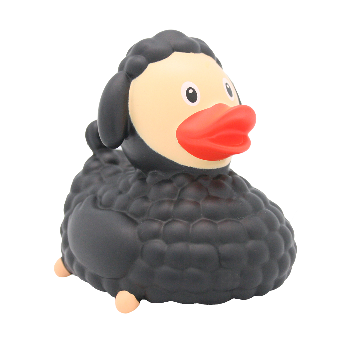 Black sheep duck