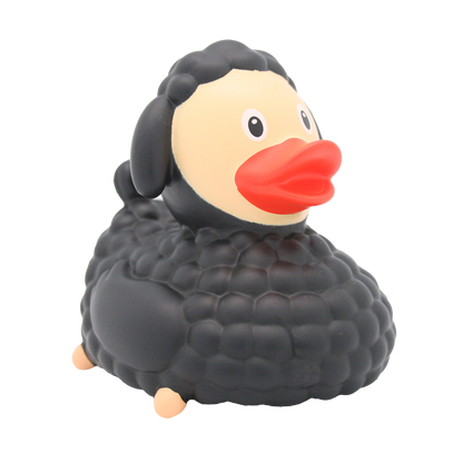 Black sheep duck