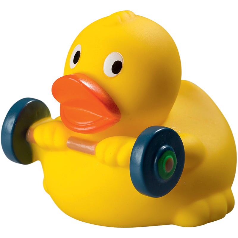 Canard Musculation