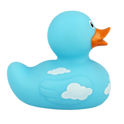 Canard Nuages