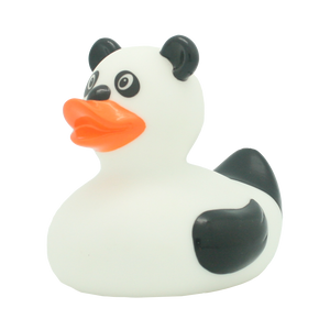 Canard Panda