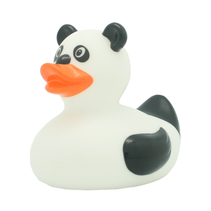 Duck panda