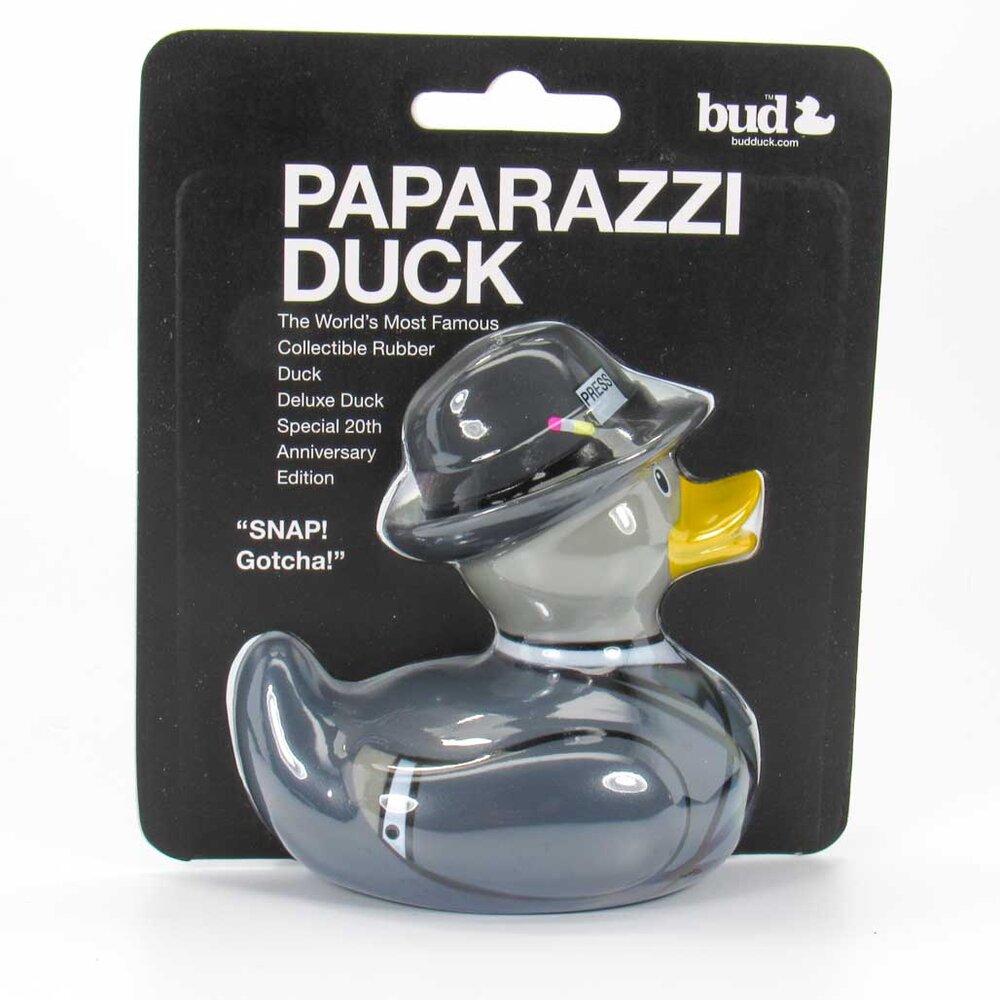 Duck paparazzi