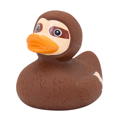 Canard Paresseux