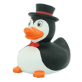 Canard Pingouin