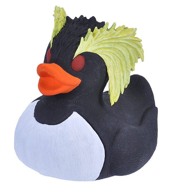Pinguino anatra Pinguino saltaroccia