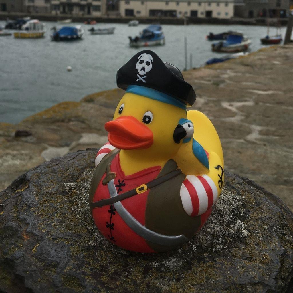 Pato pirata