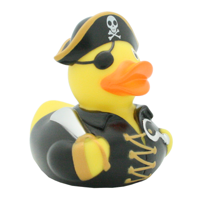 Pirate duck