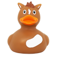 Canard Poney