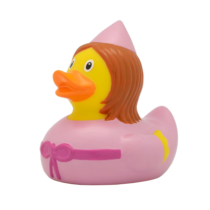 Fairy fairytale duck