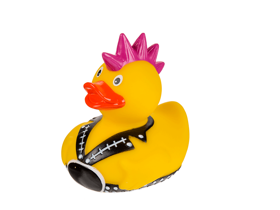 Punk duck