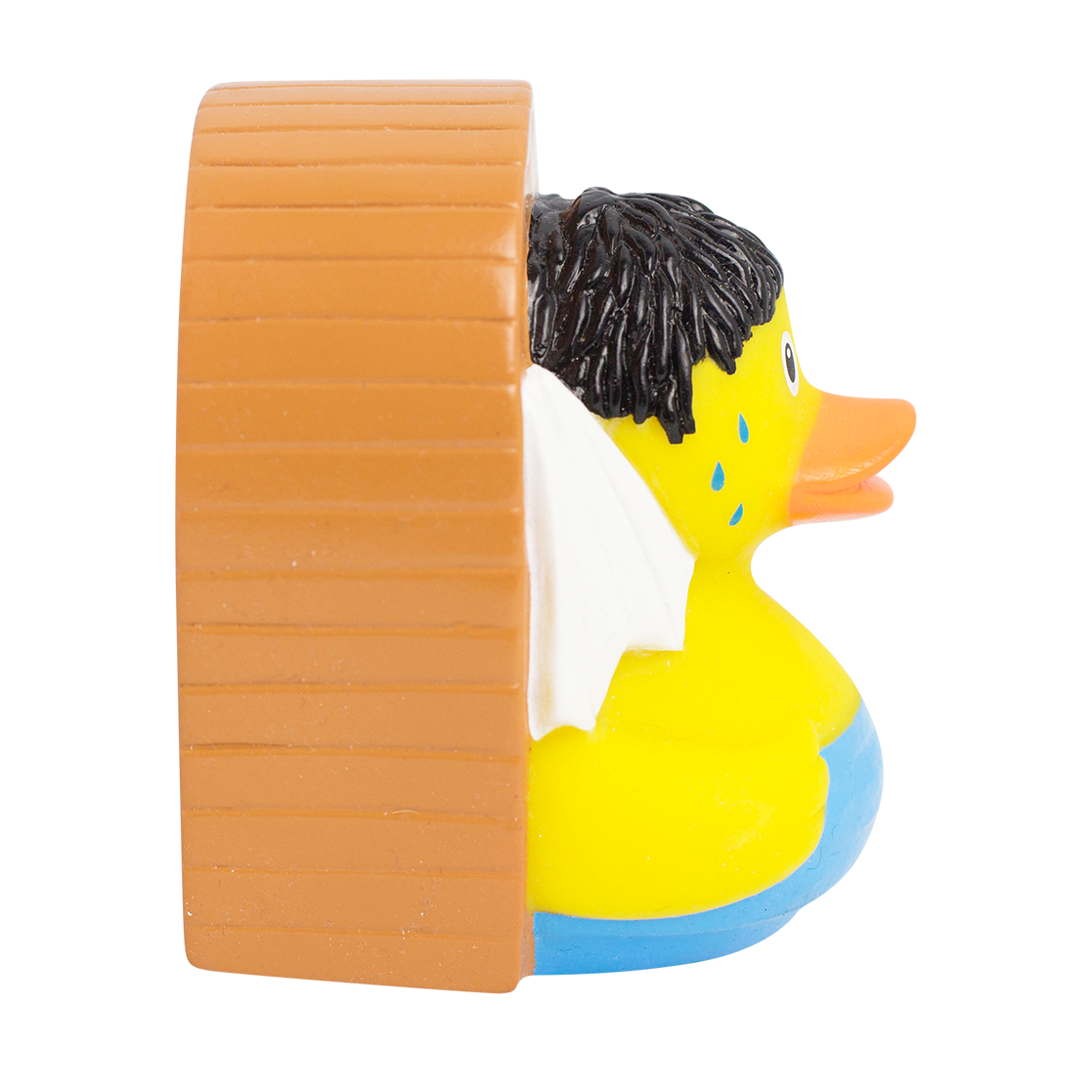 Sauna pato