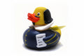 Shakespeare Duck