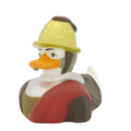 Ente L'Homme au Casque d'Or