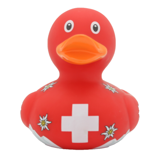 Swiss duck