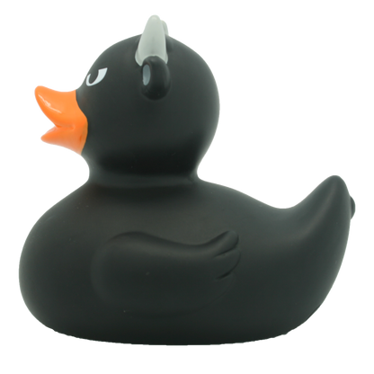 Black bull duck